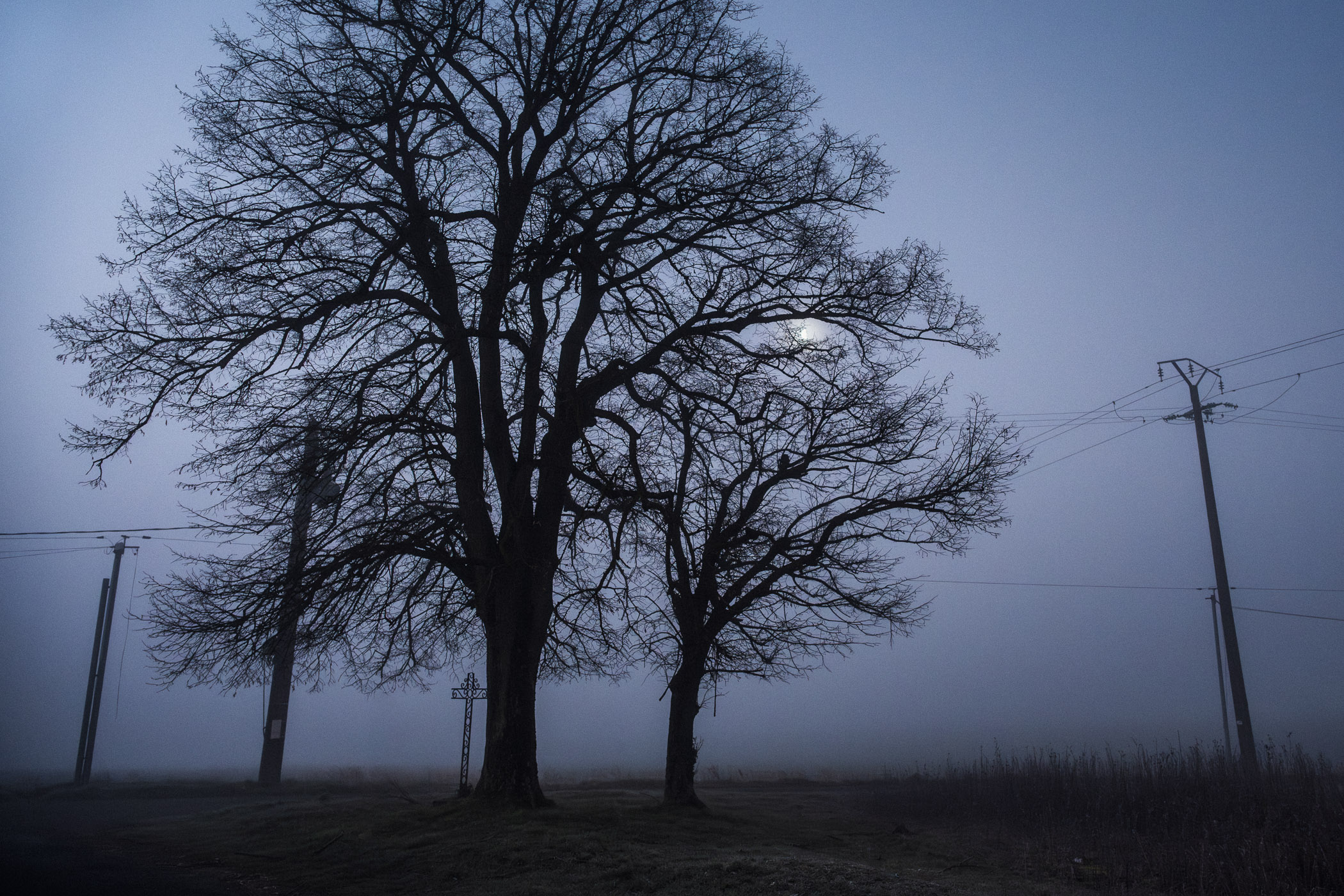 Aube brumeuse, Angerville - 2023