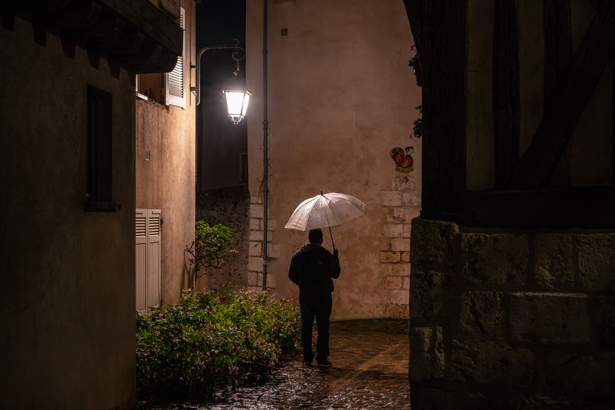 L'homme au parapluie, Chartres - 2023
