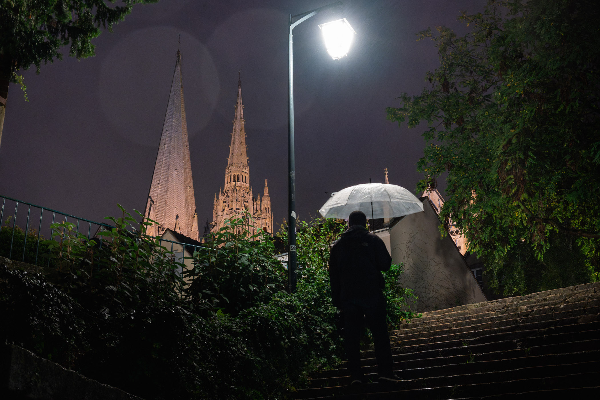 Notre-Dame, Chartres - 2023